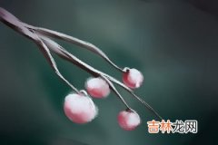 2020年庚子年桃花八字_小成图起卦法，小成图起卦方法有哪些