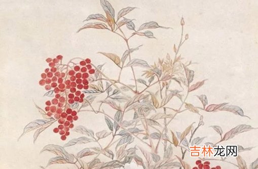 2021年2月3日出生的宝宝是什么命,腊月廿二的孩子怎么起名字