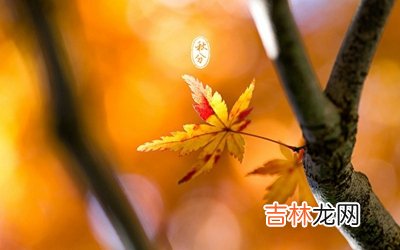 2020鼠年秋分出生的女孩八字缺木名字用什么字吉利?