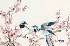 2021年2月7日出生的孩子命运好吗,腊月廿六的宝宝八字起名字