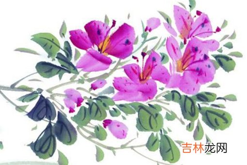 2021年1月9日农历十一月廿六出生的男孩起好听儒雅的名字
