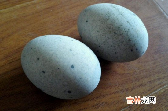 皮蛋没有凝固怎么补救