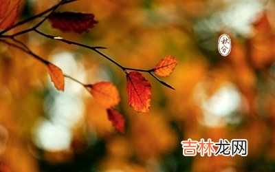 2020鼠年秋分节气出生的宝宝取名乳名叫什么好？