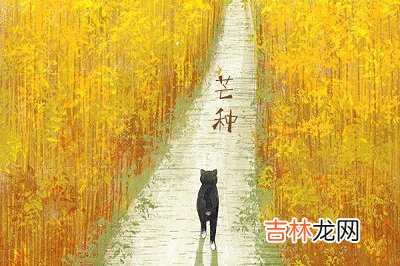 2021辛丑年四月二十六芒种后一天出生的男孩名字推荐