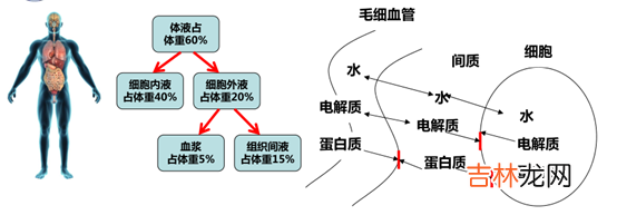 失血性休克的临床表现 失血性休克的护理措施