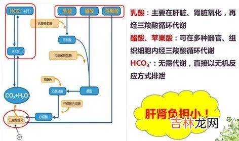 失血性休克的临床表现 失血性休克的护理措施