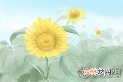 八字算命免费详批紫薇_东北宋钟基：沙俊伯的姓名五格数理