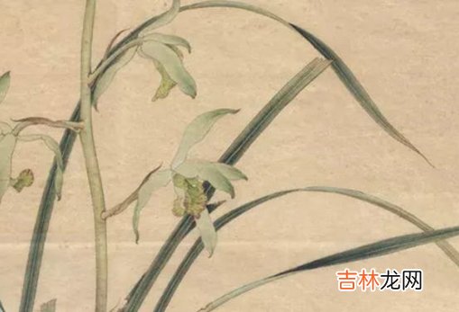 2021年元旦节出生的女宝宝名字怎么取,女宝宝优雅的名字