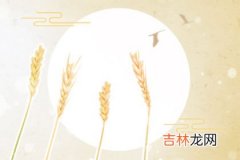 通化算命好的师傅_2017过年风水，过年你必知的风水事项