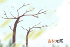 莲花次第开算命_趋利避害！鸡年吉星凶星的所在方位