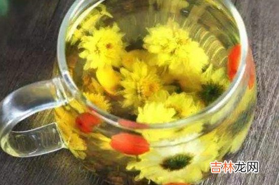 菊花茶能喝凉的吗