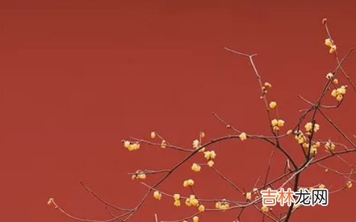 2021年2月16日农历正月初五出生的女孩起什么名字福气好