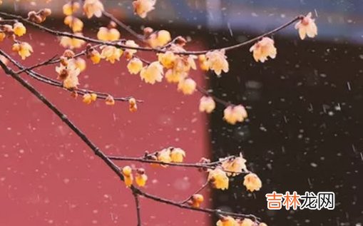 2021年2月18日农历正月初七出生的女孩免费周易生辰取名