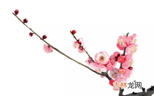 2021年2月9日农历腊月二十八出生的女孩名字高分生辰起名