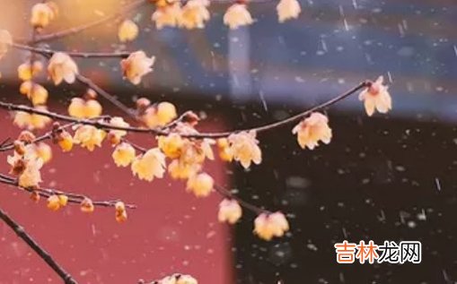 2021年2月20日农历正月初九出生的女孩名字高分生辰起名