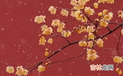 2021年2月21日农历正月初十出生的女孩起什么名字好听