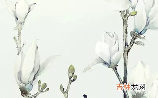 2021年2月13日农历正月初二出生的女孩根据生辰八字取名