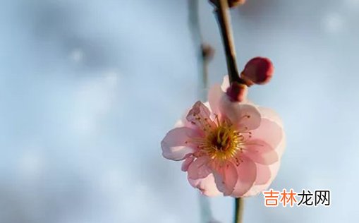 2021年3月7日农历正月二十四出生的男孩高分好名字大全