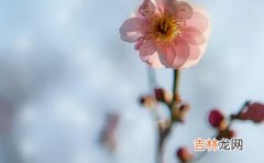 2021年3月9日农历正月二十六出生的男孩怎么起名简单大气