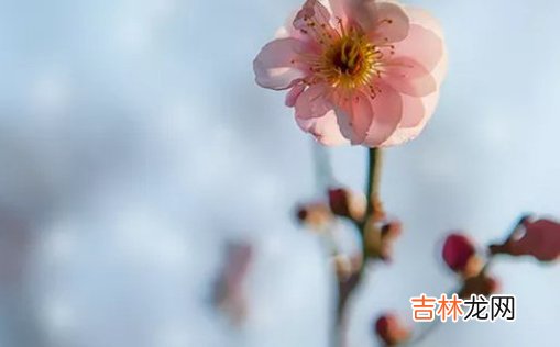 2021年3月9日农历正月二十六出生的男孩怎么起名简单大气