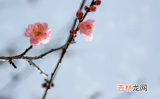 2021年3月9日农历正月二十六出生的男孩怎么起名简单大气