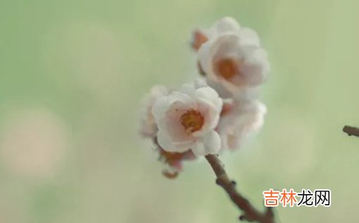 2021年3月10日农历正月二十七出生的男孩名字怎么起最好