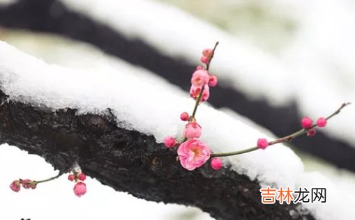 2021年3月1日农历正月十八出生的男孩在线高分取名