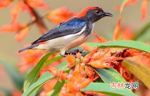 2021年3月31日农历二月十九出生的男孩怎么起名简单大气