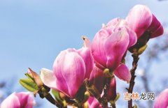 2021年3月24日农历二月十二出生的男孩周易生辰起名字