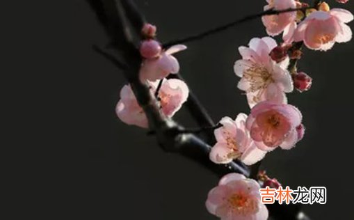 2021年3月12日农历正月二十九出生的男孩在线高分取名