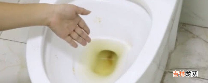 便池里的黄渍怎么去除