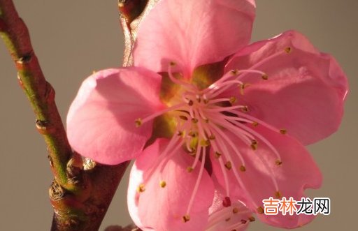 2021年3月18日农历二月初六出生的男孩高分好名字大全
