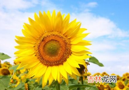 2020农历七月的鼠宝宝取什么名字好,农历七月出生命理