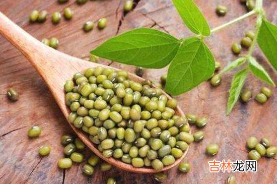 绿豆和红糖可以一起吃吗
