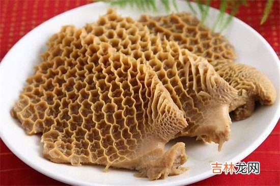 牛肚不能和什么一起吃