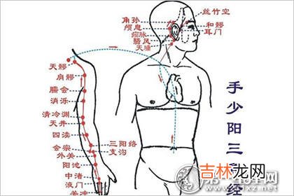 宇桐算命_三焦经不通的症状？三焦经要怎么保养