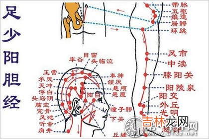 瓷都算命网八字排盘_胆经的准确位置图,如何正确的找到胆经?