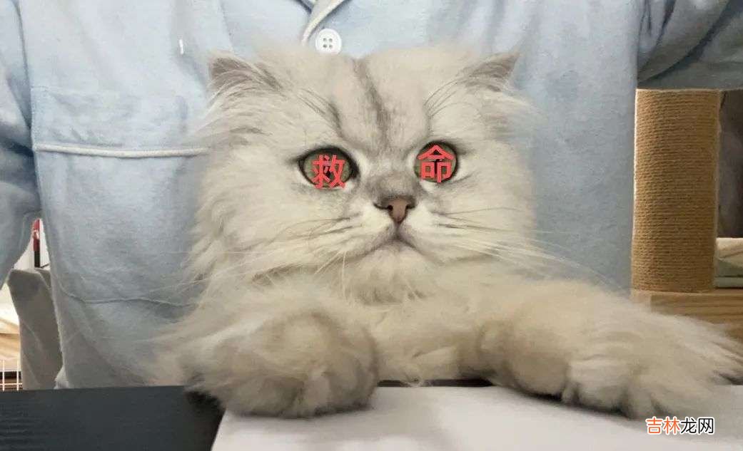 可以给儿子上吗 医生 可以给儿子上吗资讯实录