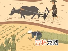 用姓名数笔画算命运_八卦命理：紫白九星飞伏图图解