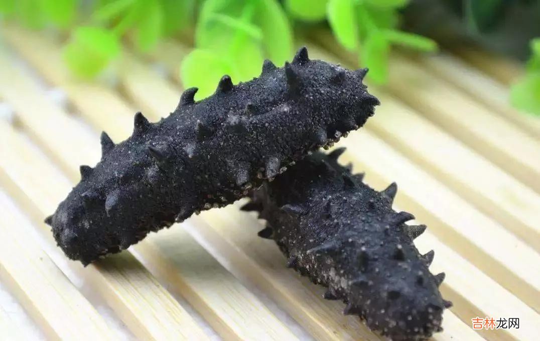 如何清洗干海参 干海参的泡发及清洗方法