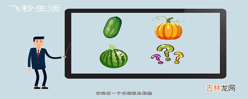 为什么没有北瓜