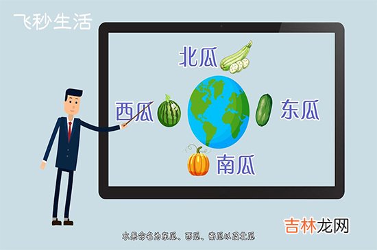 为什么没有北瓜