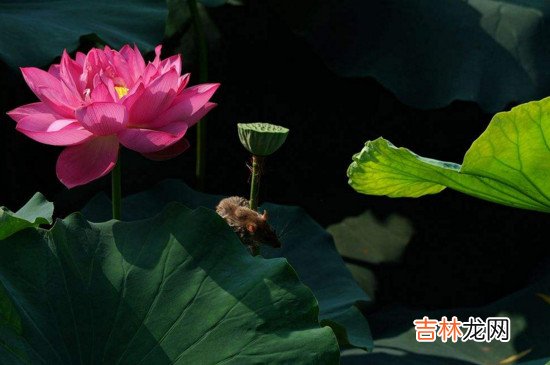 伏天注意事项