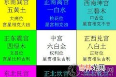 四柱八字排盘算命_命理术数讲解九宫飞星排法