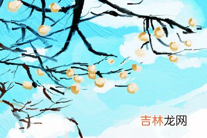 麻衣神相算命_命理解析:王宝强也赶时髦离婚了