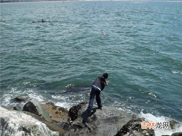 捡到漂流瓶 大家都爱捡哪种漂流瓶