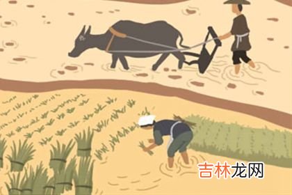 昆明算命大师哪个准_风水名家手笔——伍子胥与苏州古城风水