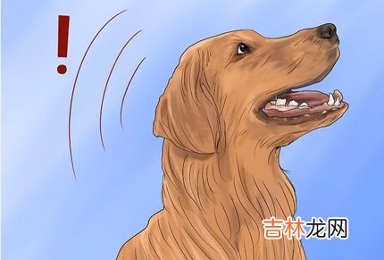 对付狗叫扰民最好方法-依照自身境况任选