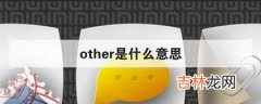 这几种不同 other是什么意思