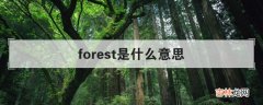 forest是什么意思